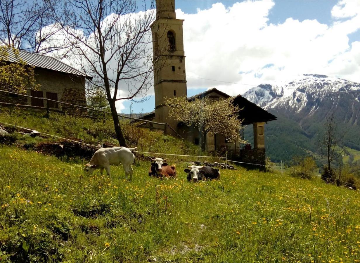 Agri-B&B Lou Col Canosio Exterior foto