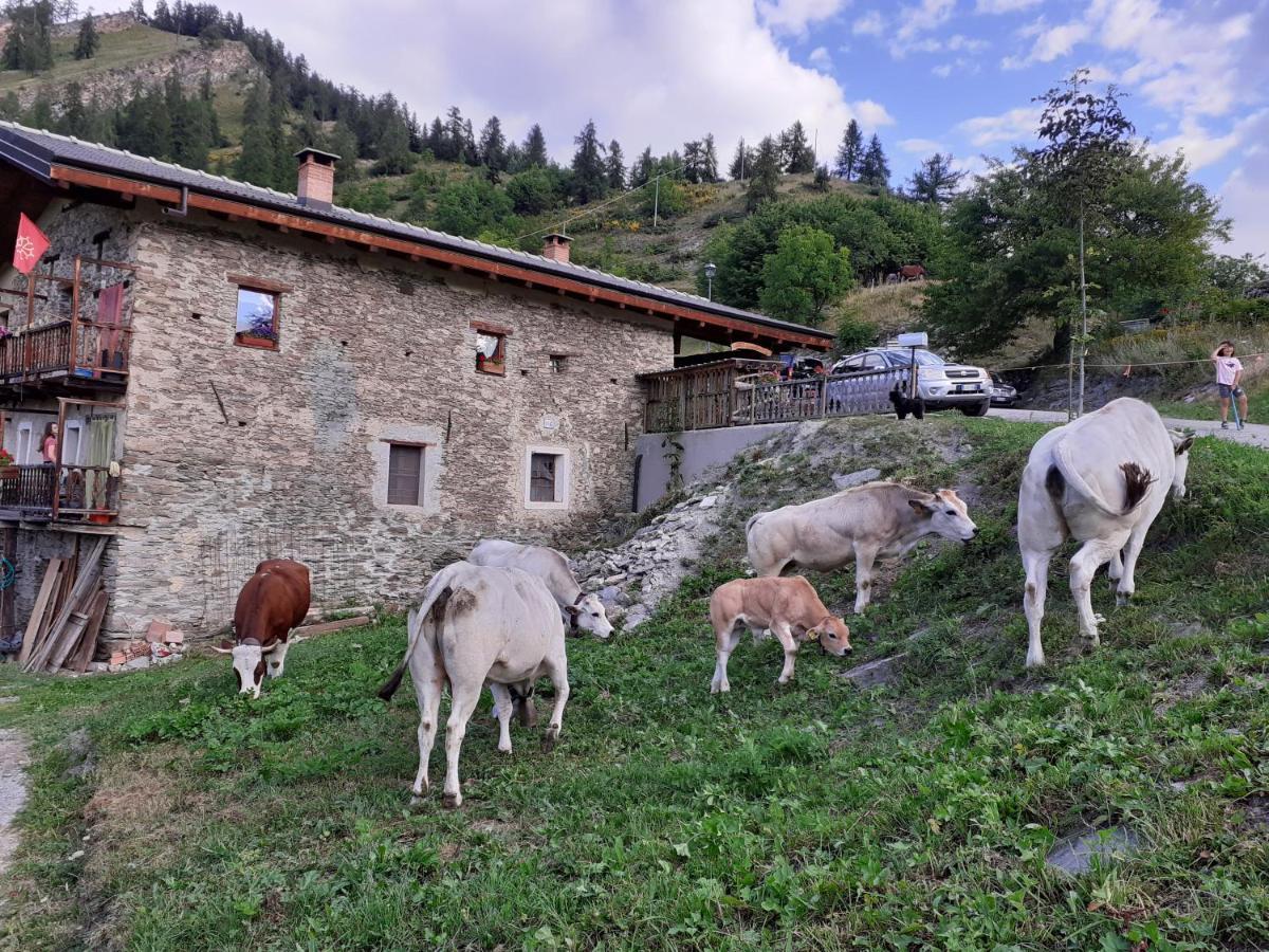 Agri-B&B Lou Col Canosio Exterior foto